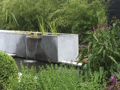 Petite pièce d'eau dans un jardin de ville aménagé en 2015